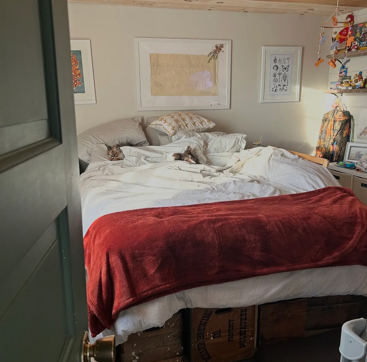 1 bed, 1000 sqft, $1,600 — Photo 4