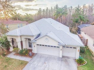 19608 Intrigue Way, Lutz, FL 33558