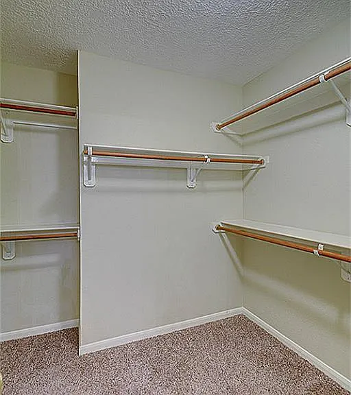 7 N Spiral Vine Cir — Photo 23