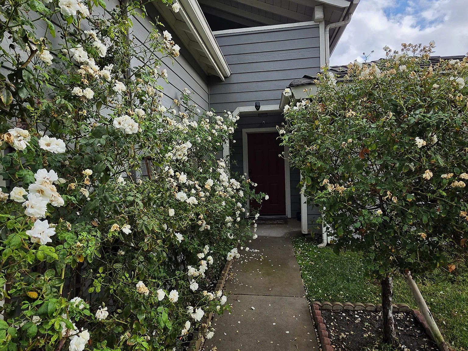 3 bed, 1367 sqft, $3,200 — Photo 4