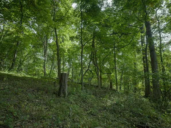 4820 Kopper Pond Rd, Hanover, IL 61041