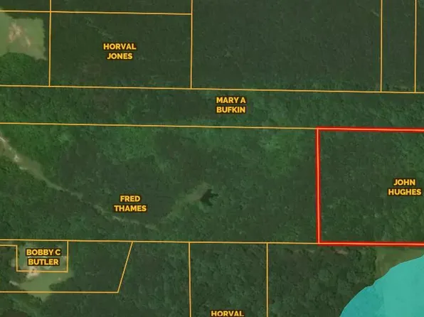 0 Robert Butler Rd, Forest, MS 39074