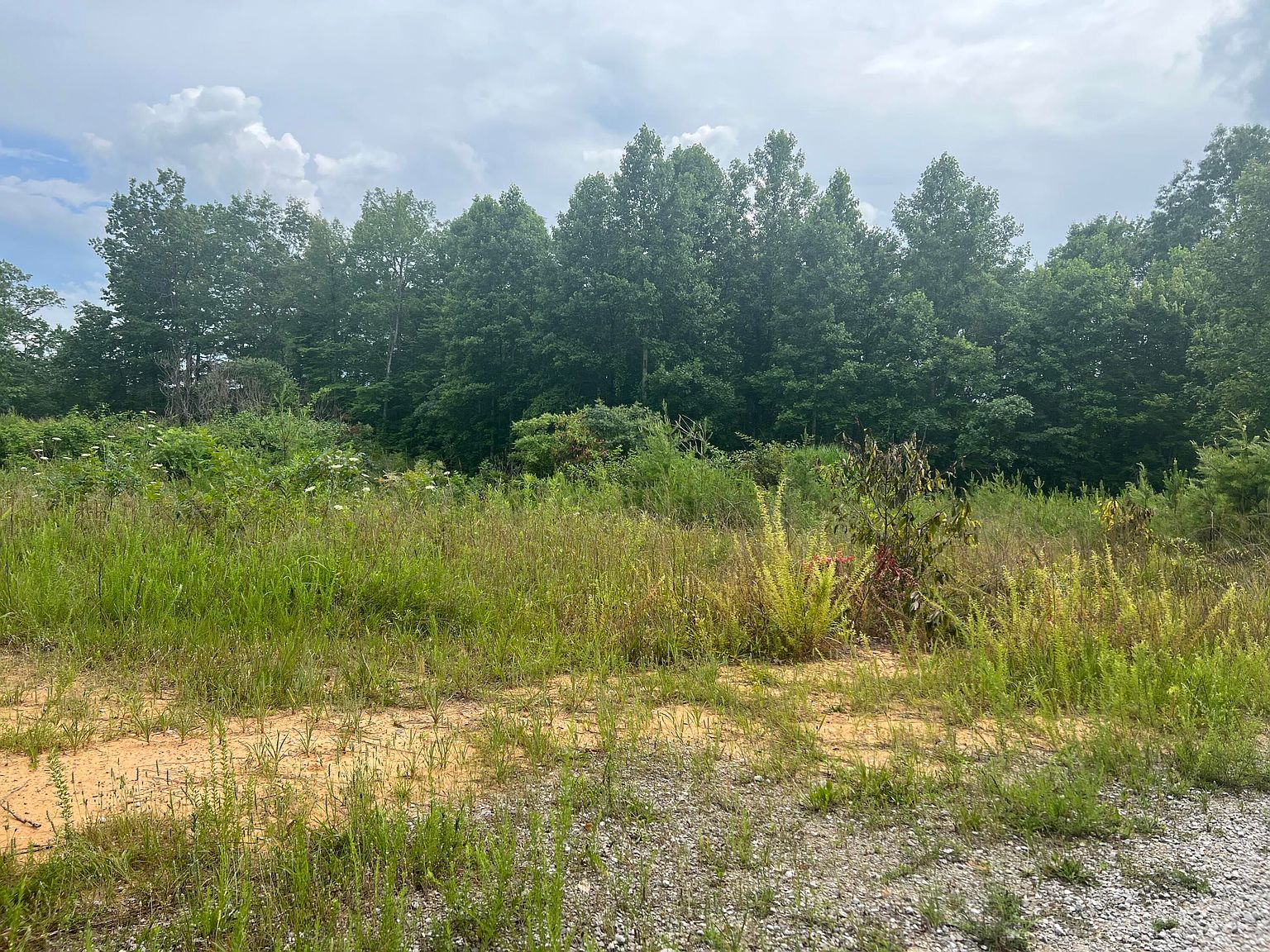 1111 State Highway 90, Whitley City, KY 42653 Zillow