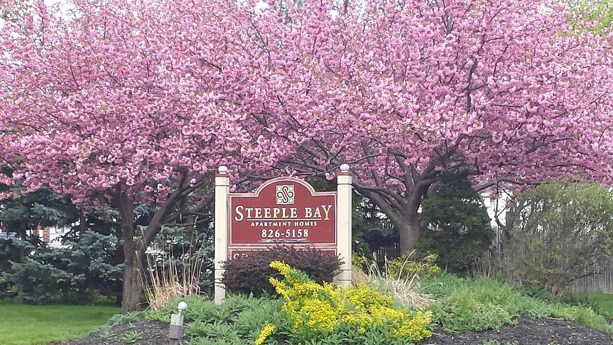 2 bed, 750 sqft, $1,100 — Photo 4