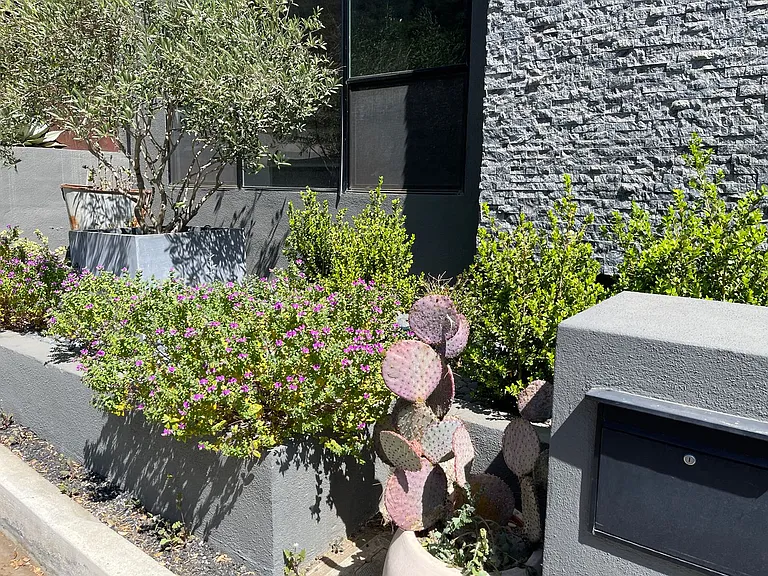 1854 Franklin Canyon Dr — Photo 3