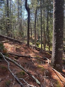 0 Acadia Highway, Orland, ME, 04472