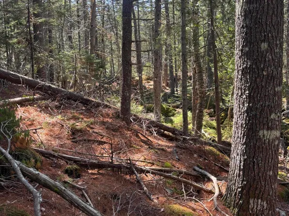 0 Acadia Highway, Orland, ME 04472