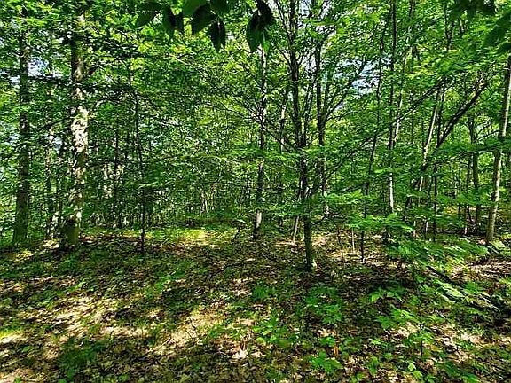 2nd image of 7821 Shay Dr