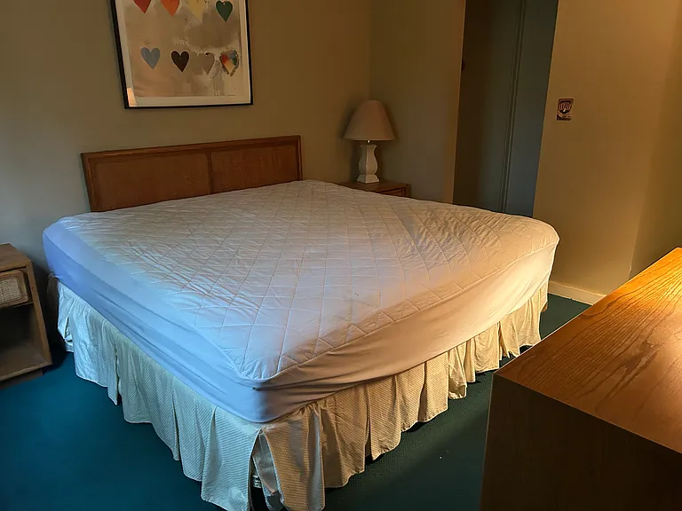 101 Snows Brook Rd #13 — Photo 10