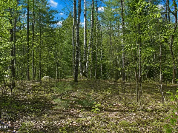 L97 Highview Lane Lot 13, Wevertown, NY 12886