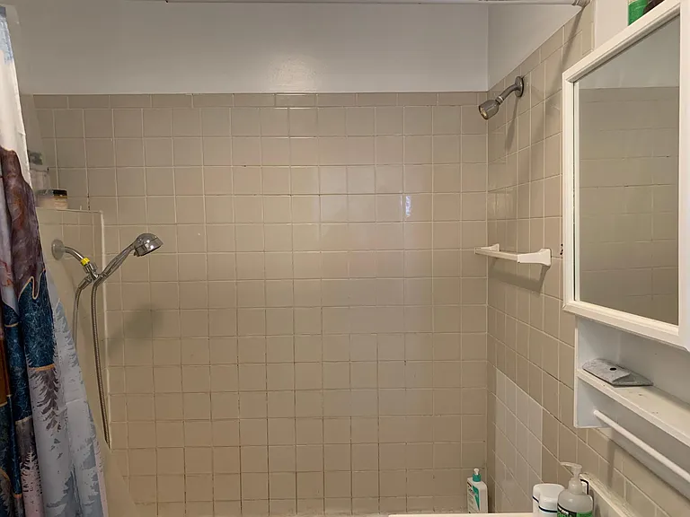 230 Broadway #2 — Photo 16
