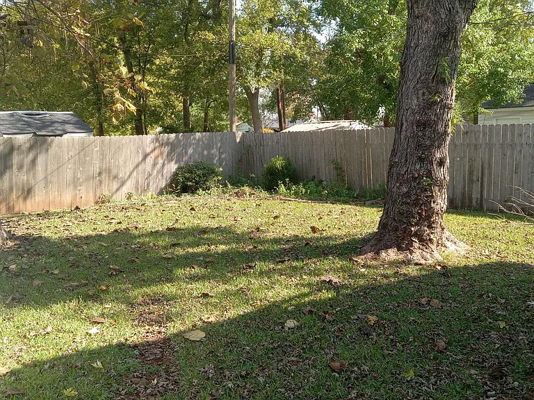 Back yard