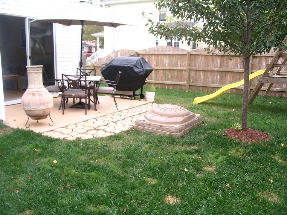 Backyard/ Patio