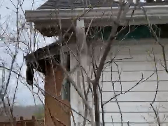 4th image of 7008 Rocky Creek Ct