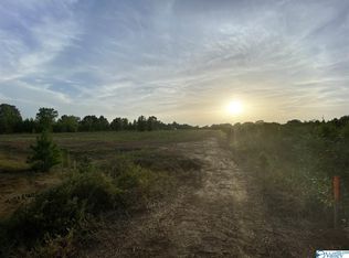 81 County Road 352, Trinity, AL 35673