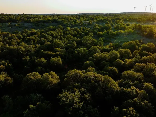 Armstrong Rd, Jacksboro, TX 76458