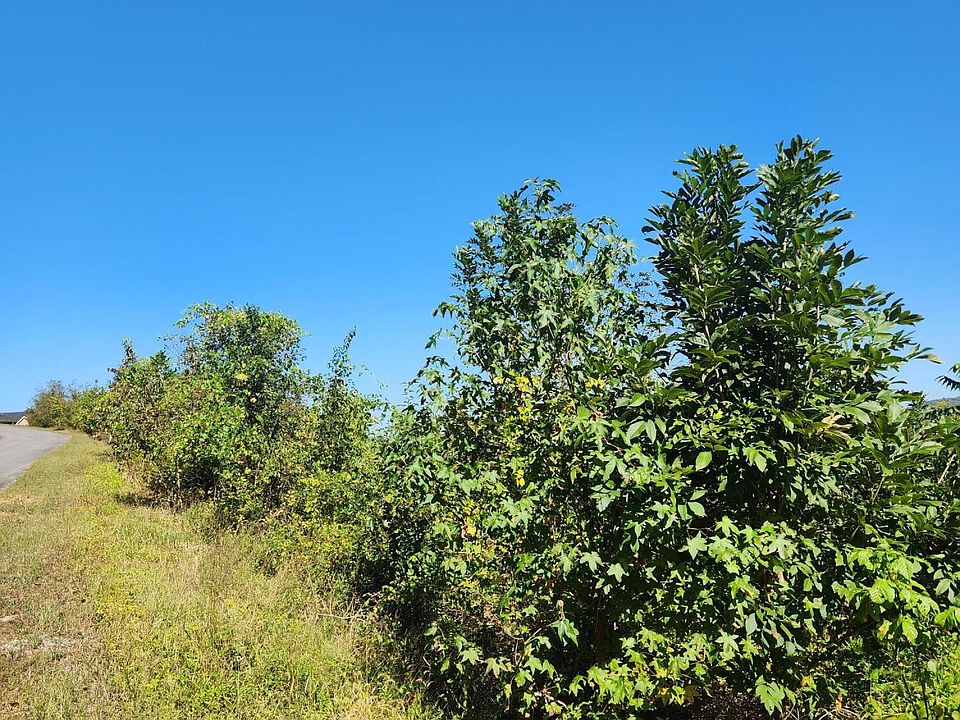 0 Mill Dr 10, Decatur, TN 37322 MLS 1380979 Zillow