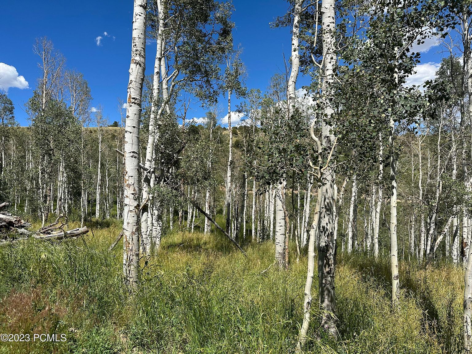 5 E Tabby Acc Rd A, Tabiona, UT 84072 MLS 12303103 Zillow