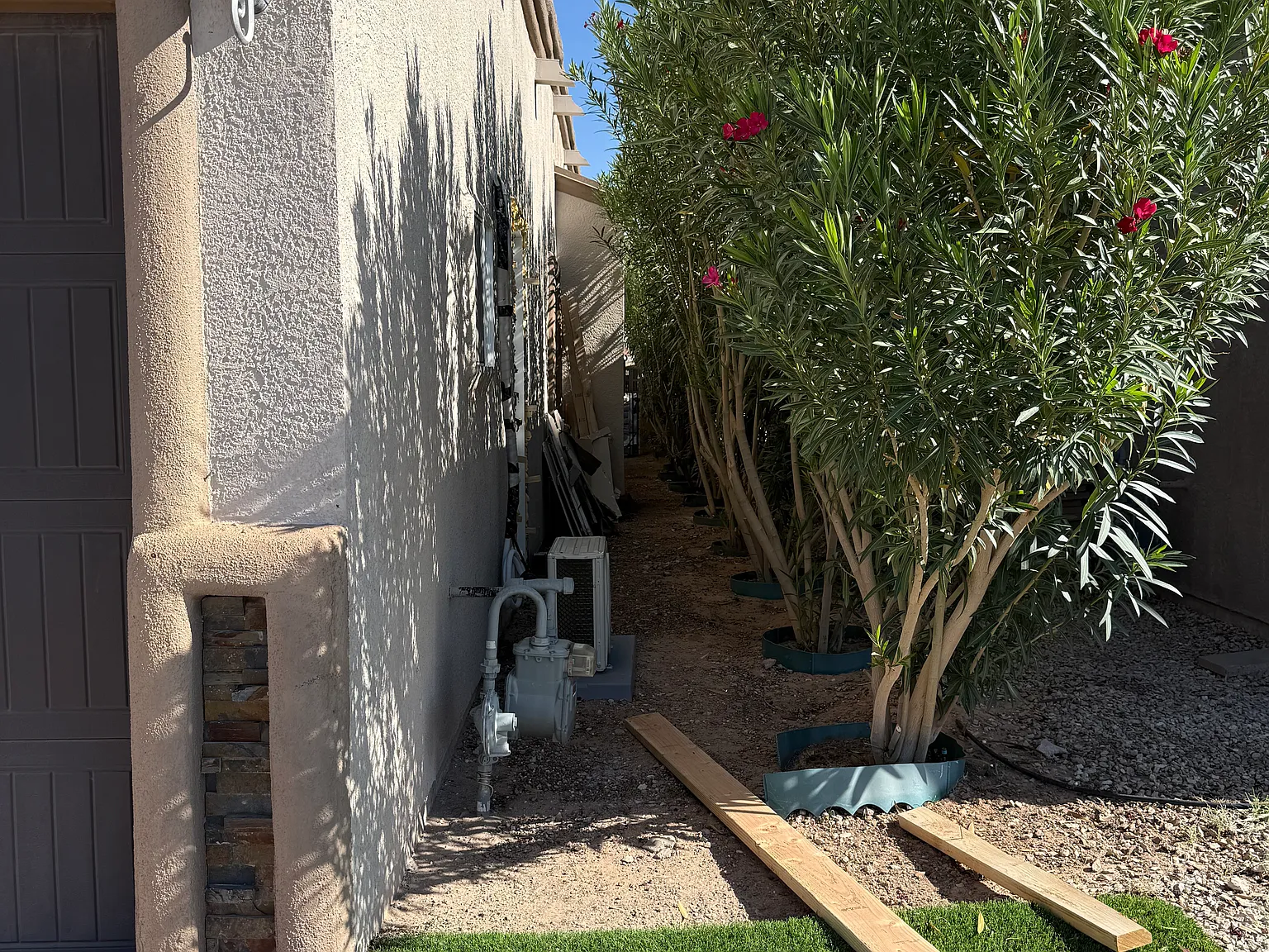 4 bed, 1590 sqft, $1,590 — Photo 4