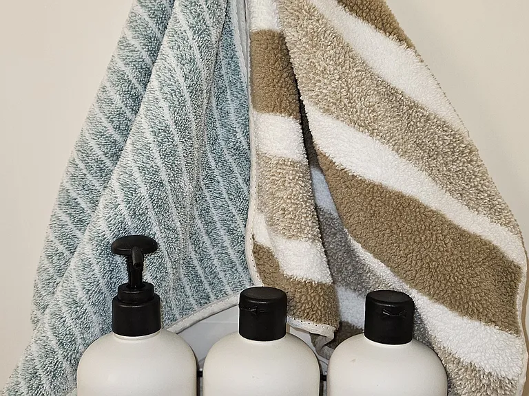 2507 Swiss Mountain Dr #2507 — Photo 17