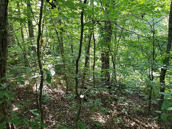 5th image of LOT 50 Georgia Dr Lot 50