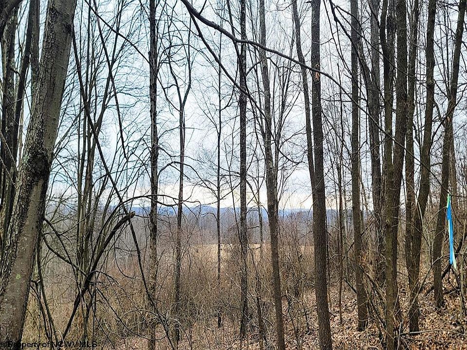 LOT Brewer Rd C, WV 26508 Zillow