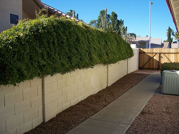 Side Yard with RV gate 