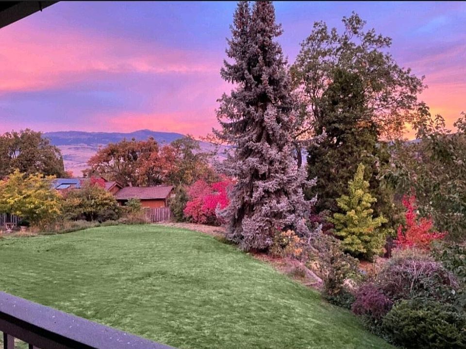 Our backyard