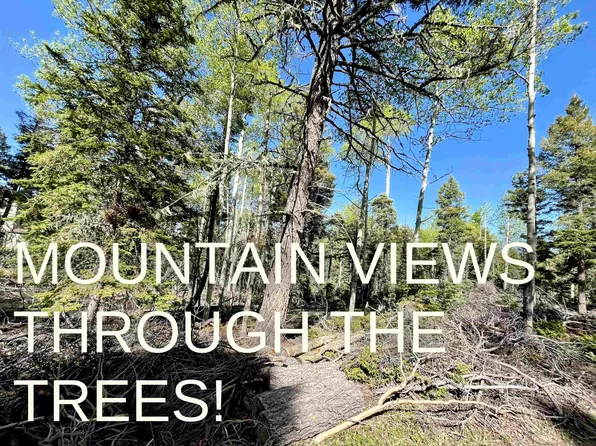 LOT 1479 Peralta Cir, Angel Fire, NM 87710