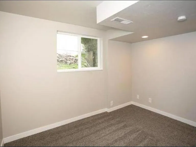 Downstairs bedroom
