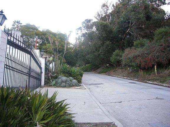Looking north on Park Dr.