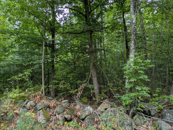 135 Old Country Way, Limerick, ME 04048