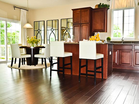 Model Representation