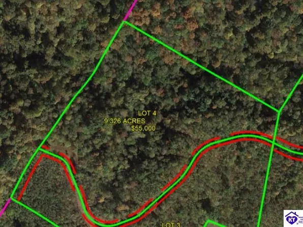 LOT 4 State Route 1700, Fordsville, KY 42343