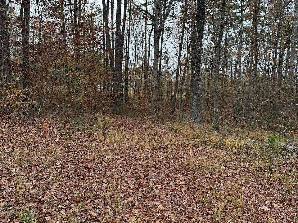 2nd image of LOT 1 State Highway 69 #J