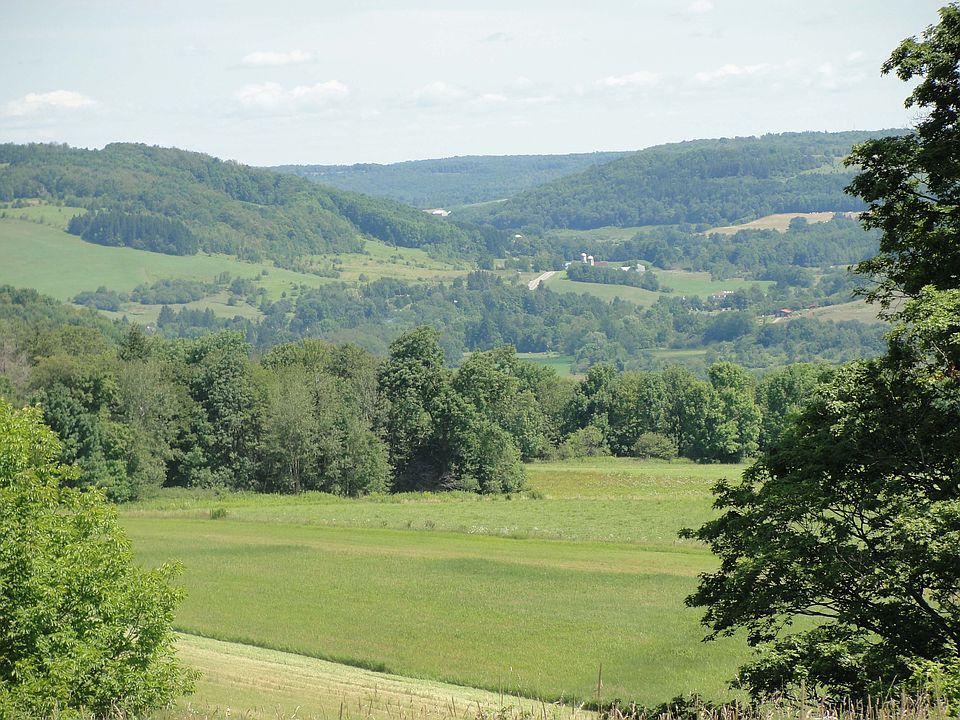 Looking North Down Valley