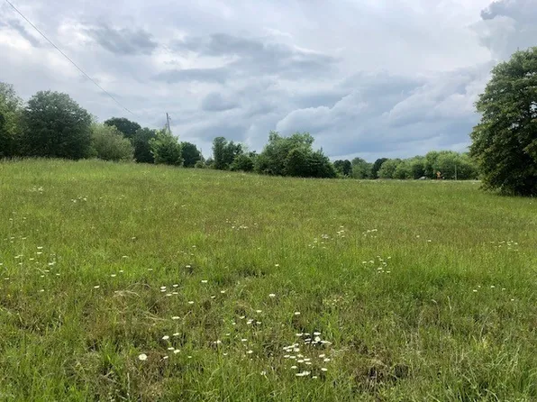 Meadow Ct #9, Green Forest, AR 72638