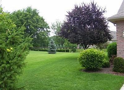 2nd image of 234 Old Carriage Dr