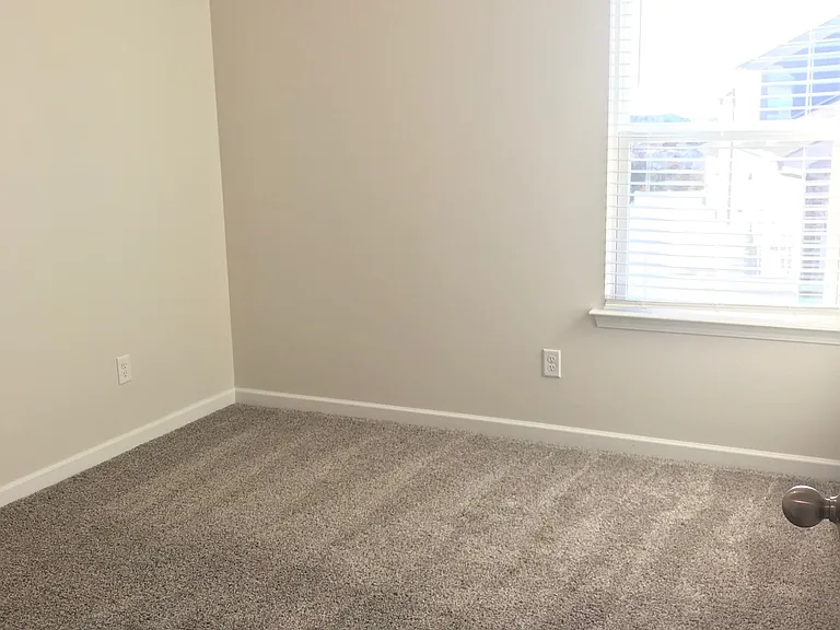 12 Holland Ridge Cir — Photo 9