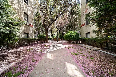 Rented by Beekman Street Realty