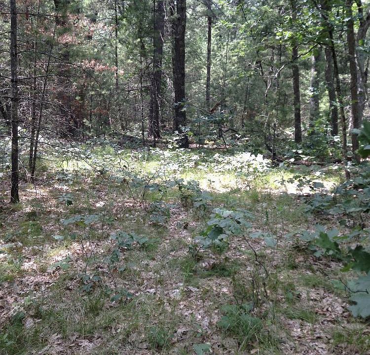 2nd image of 3203 Brunswick Rd
