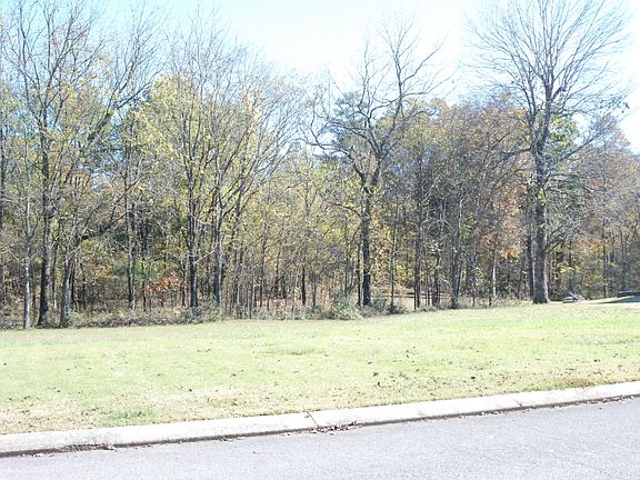 5th image of 79 Morning Glory Dr