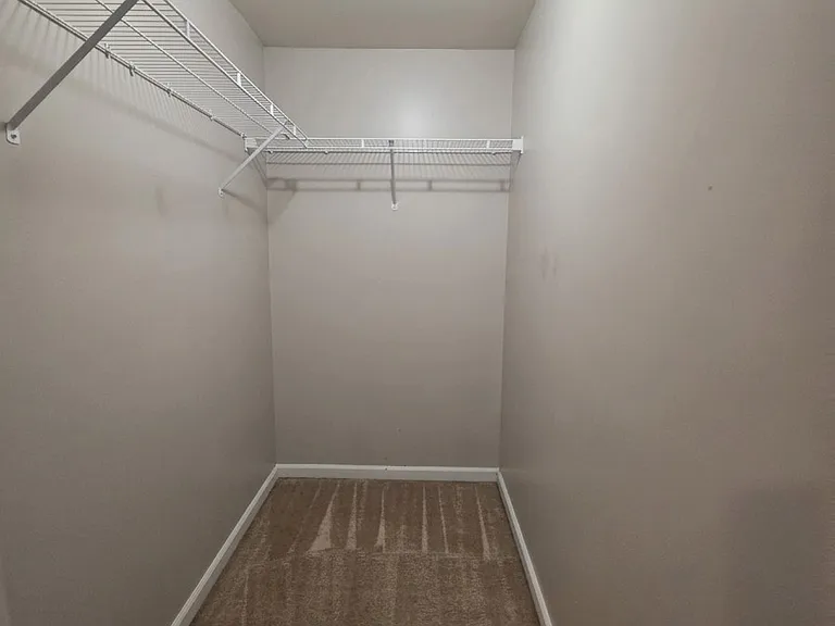 439 Flowering Magnolia Dr — Photo 13