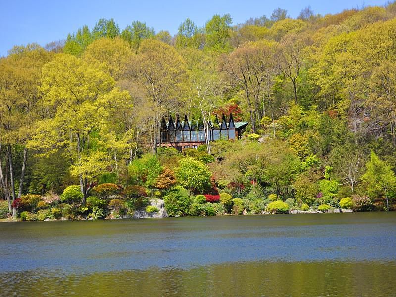 A secluded 20 acre estate