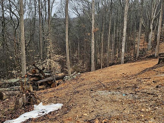 4th image of 294 Landmark Rd