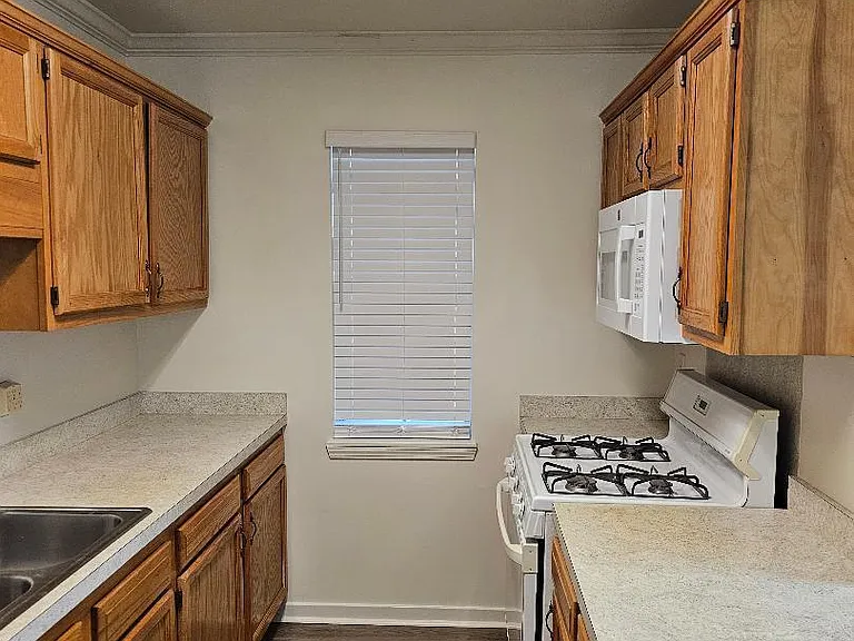 705 Water Oak Cv — Photo 3