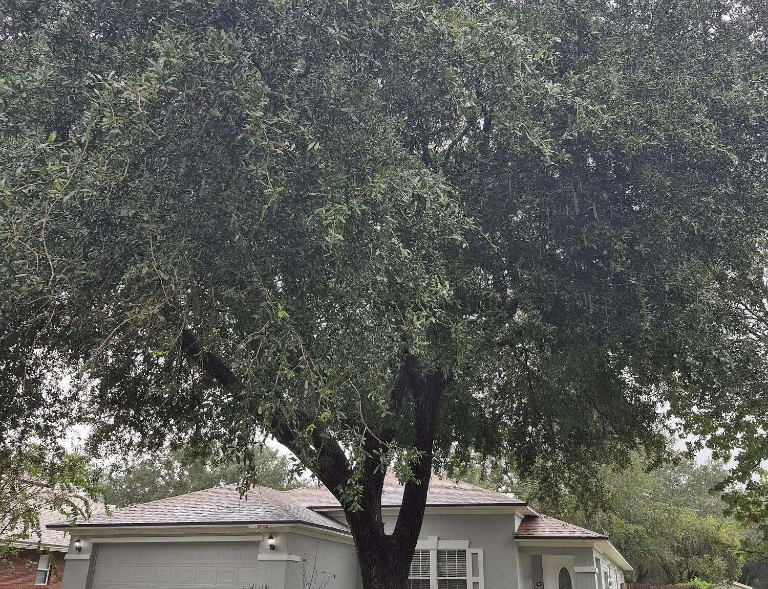 3 bed, 2.0 bath, 1926 sqft, $2,200 — Photo 2