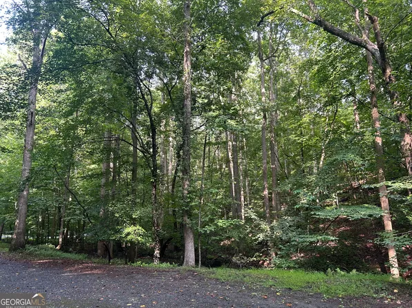 0 Shiloh Ct #132, Ellijay, GA 30540