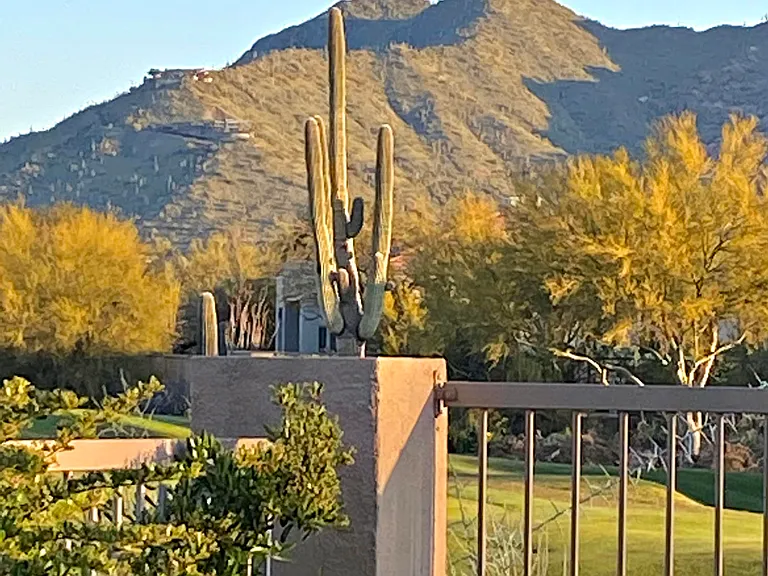 6894 E Thirsty Cactus Ln — Photo 48