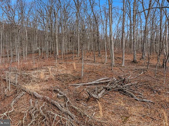 3rd image of LOT 6 Pauls Woods Rd